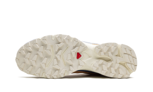 salomon-xt L47299-700
