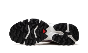 salomon-xt L49270-700