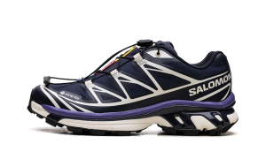 Salomon XT-6 GORE-TEX “Carbon Liberty” (L47732-500)