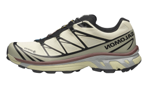 Salomon XT-6 Gore-Tex “Aspargus Green Tea” (L49202-200)