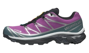 Salomon XT-6 Gore-Tex “Concord Grape Stormy Weather” (L47990-100)
