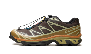 Salomon XT-6 Gore-Tex “Delicioso Tea” (L49202-100)