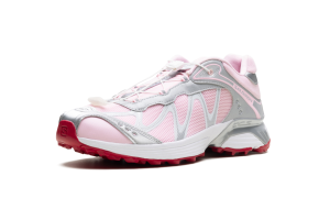 salomon-xt L47846-300