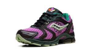 saucony-triumph S70966-3
