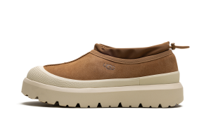 ugg-tasman 1144096-CWTC