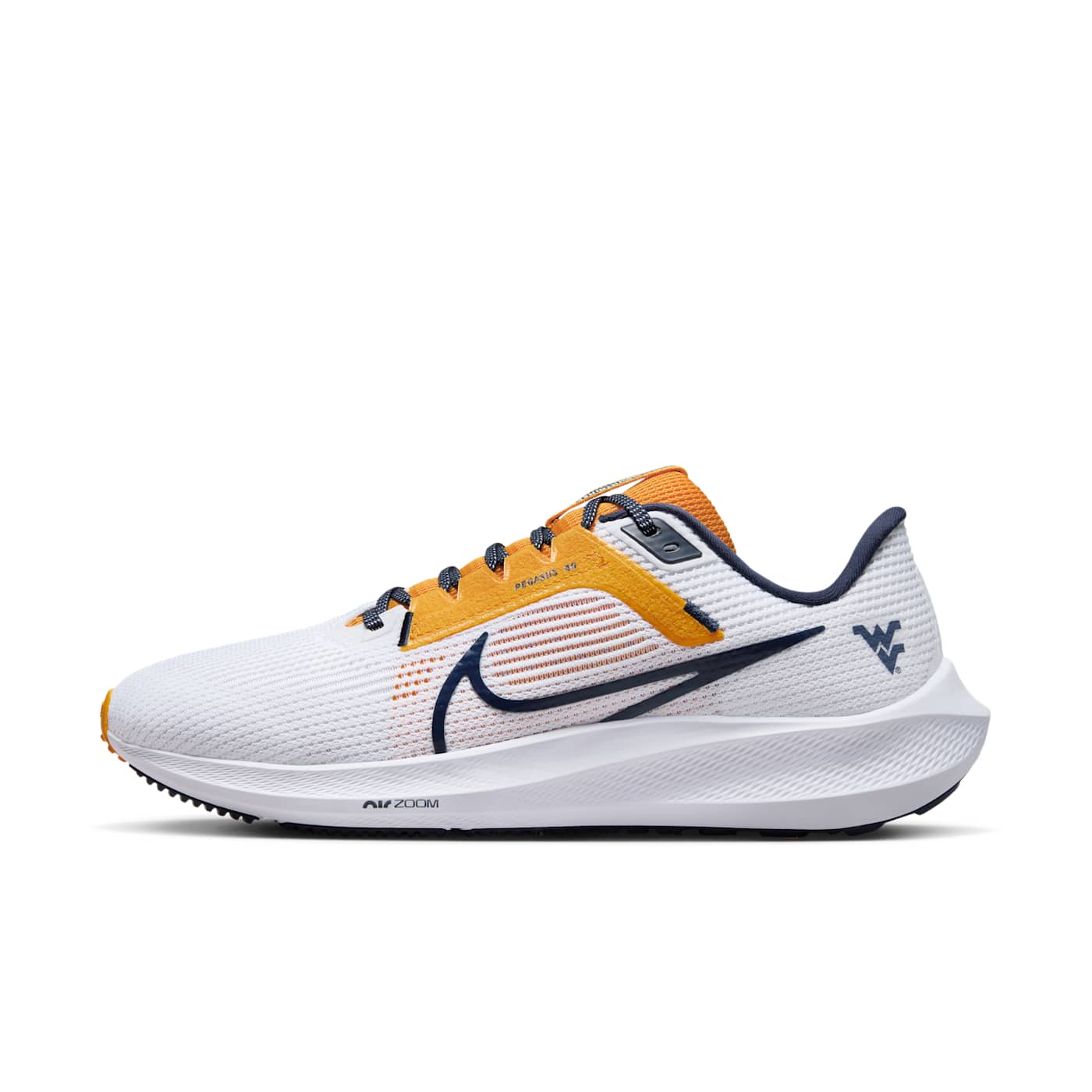 Nike Air Pegasus DZ6005-100
