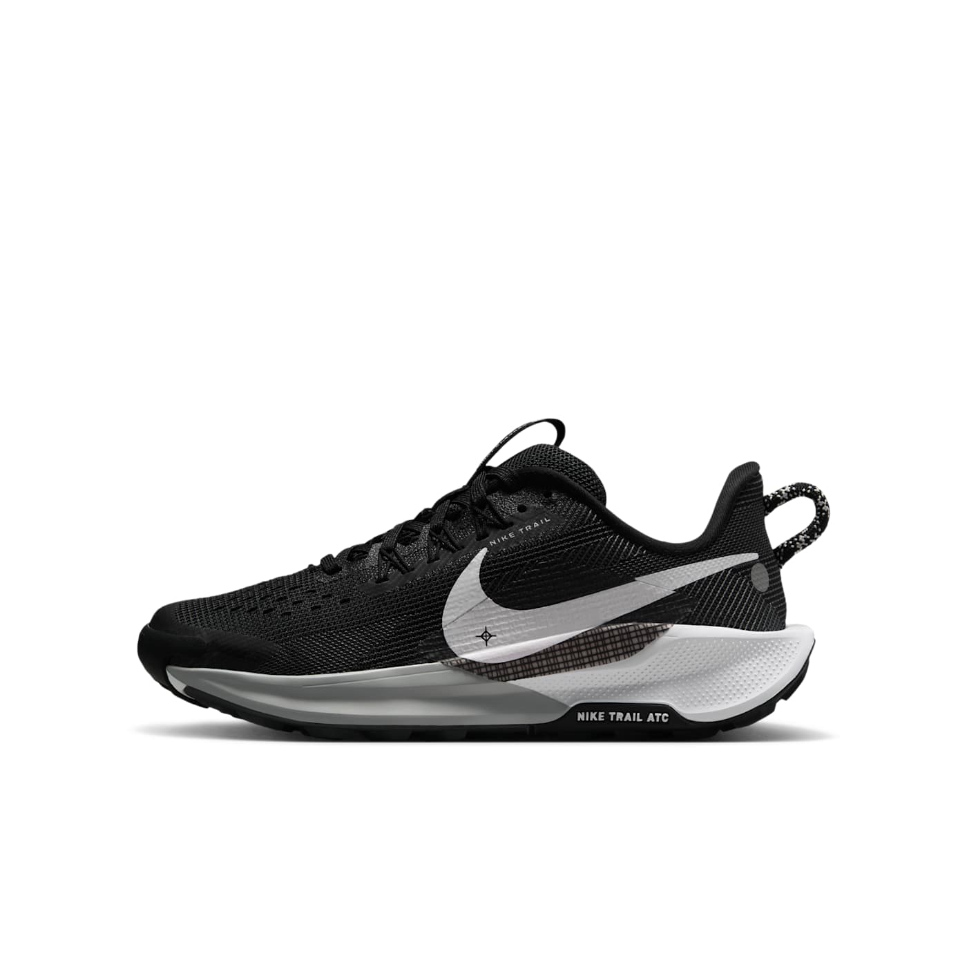Nike Air Pegasus FV5638-003