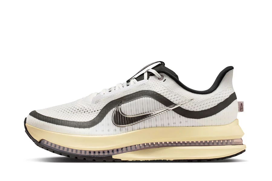 nike-air-pegasus IM0701-100