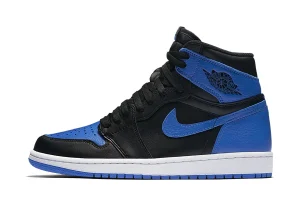 Air Jordan 1 (IQ5495-005)