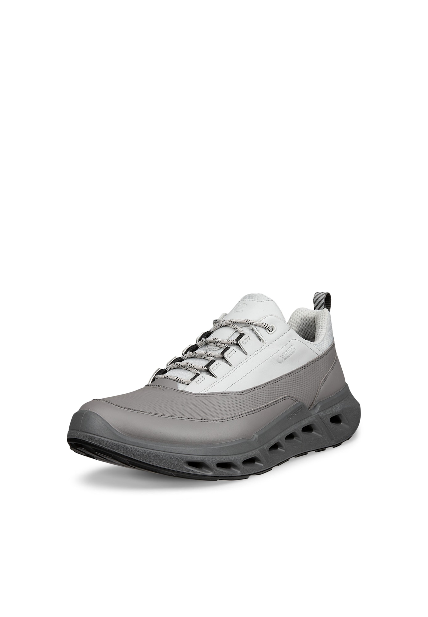 Ecco Biom Grijs / Offwhite (850304-60512)