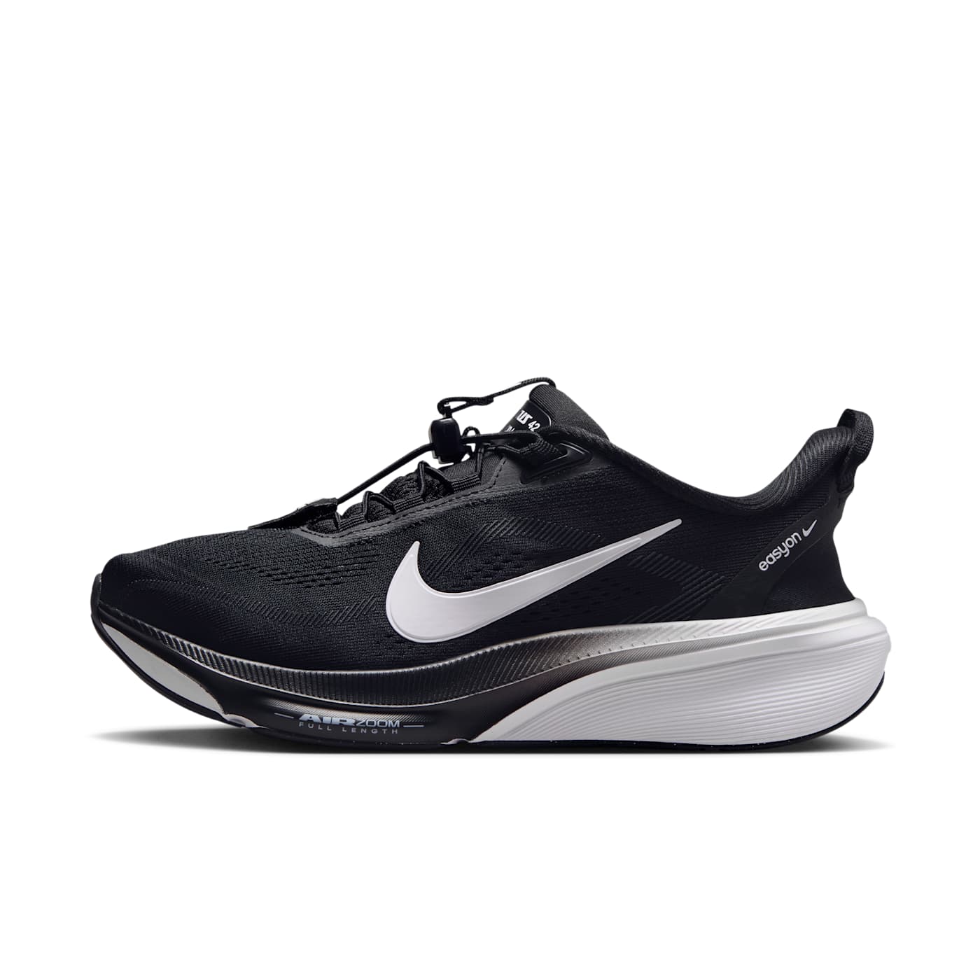 Nike Pegasus Black (IH1850-001)